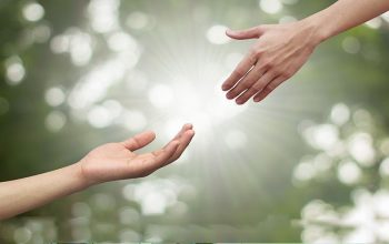 An image depicting green background and two hands coming close to hold each other