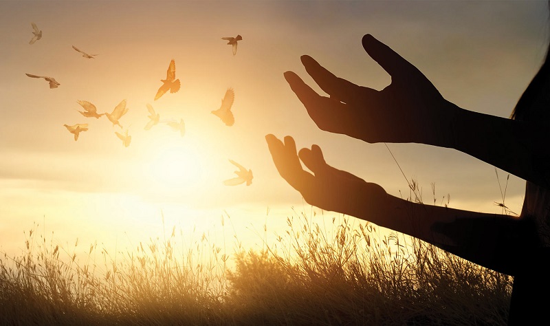 A beautiful image showing the sunset, birds flying back and hands spread open towards the sky.